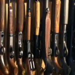 Ten Rifles And Shotguns Lined Up In A Hunter's Gun Case
